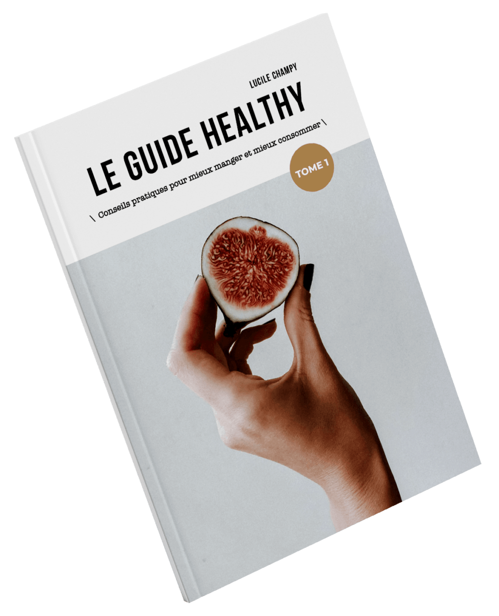 Le guide healthy version papier