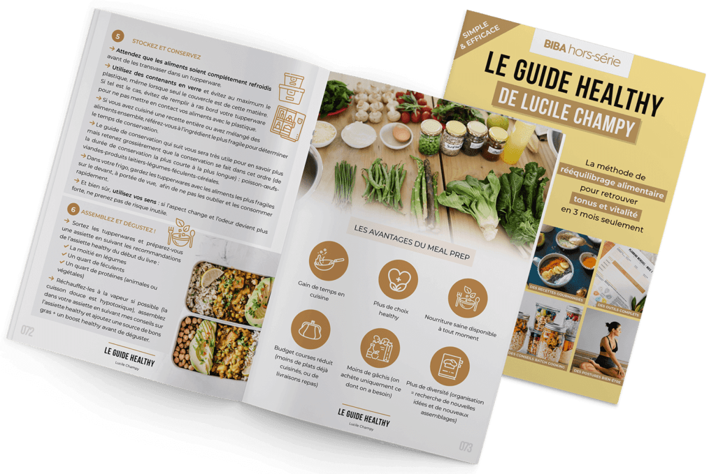 Mook Le Guide Healthy - BIBA hors série