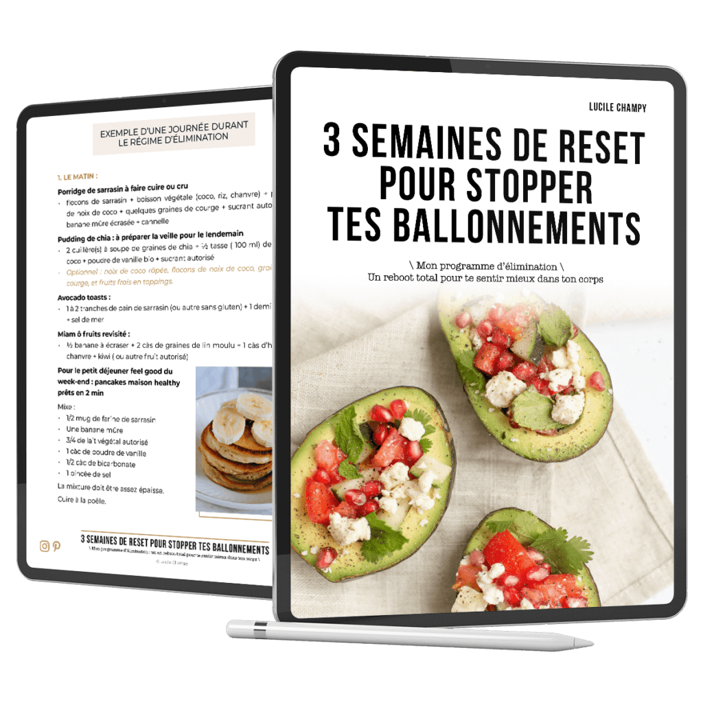 Ebook gratuit - Lucile Champy