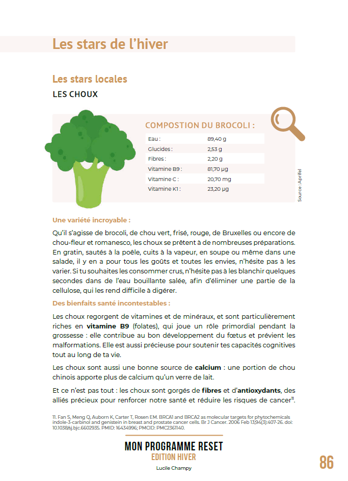 RESET Hiver - extrait RESET Hiver - extrait