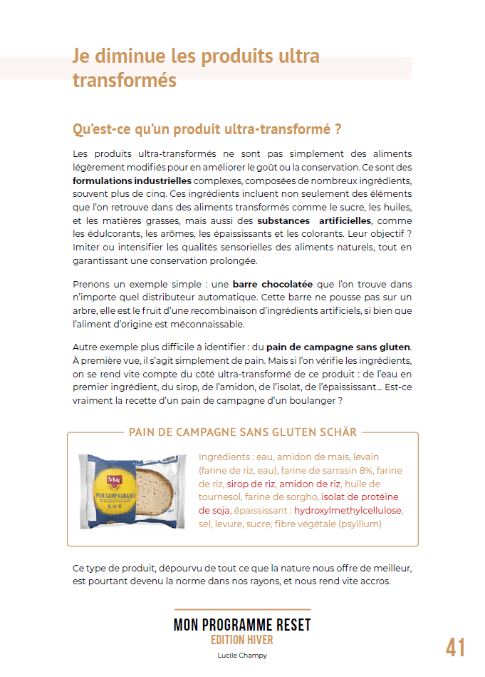 RESET Hiver - extrait RESET Hiver - extrait