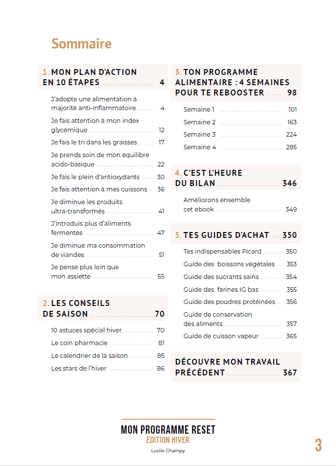 RESET Hiver - extrait RESET Hiver - extrait