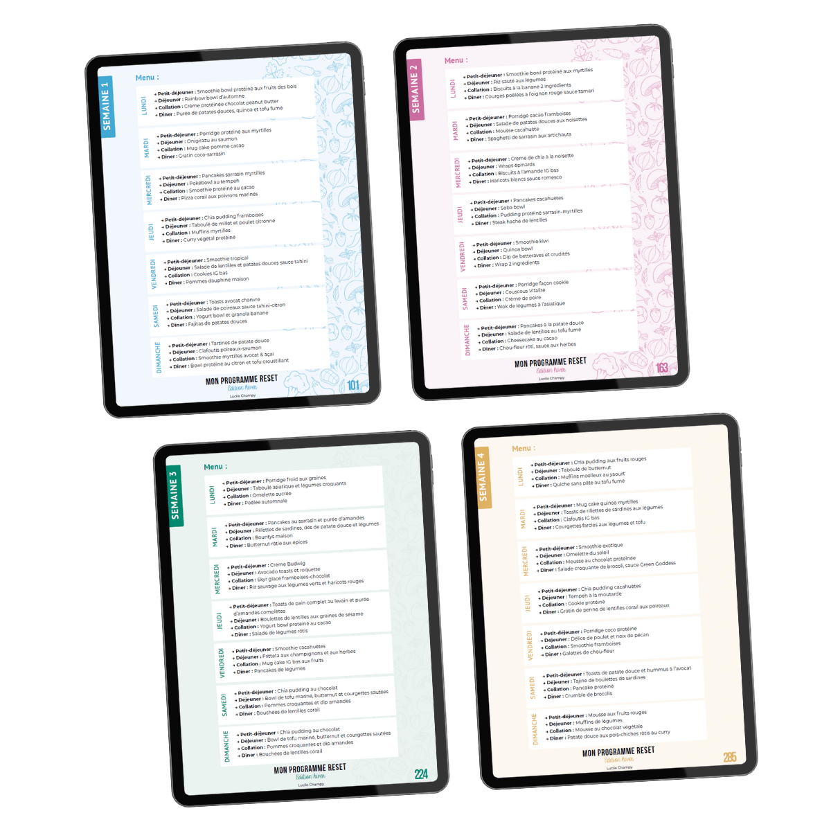 Design sans titre (2) Mon Programme RESET - hiver