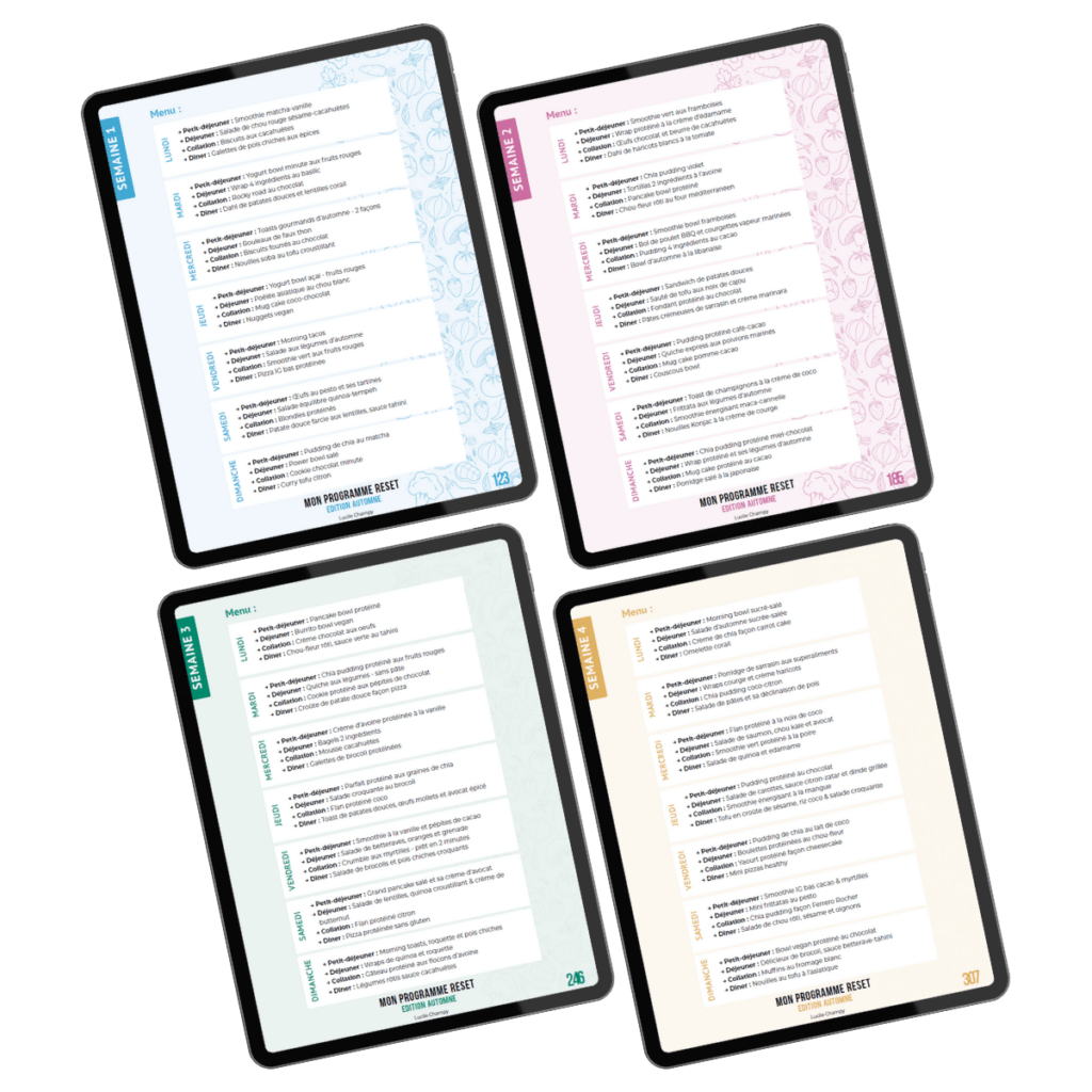 Programme RESET Automne