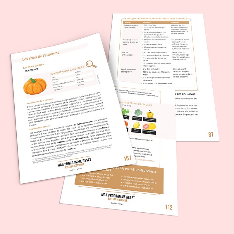 Programme RESET Automne Programme RESET Automne
